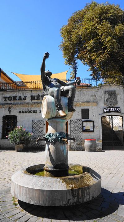 希臘酒神 in Tokaj