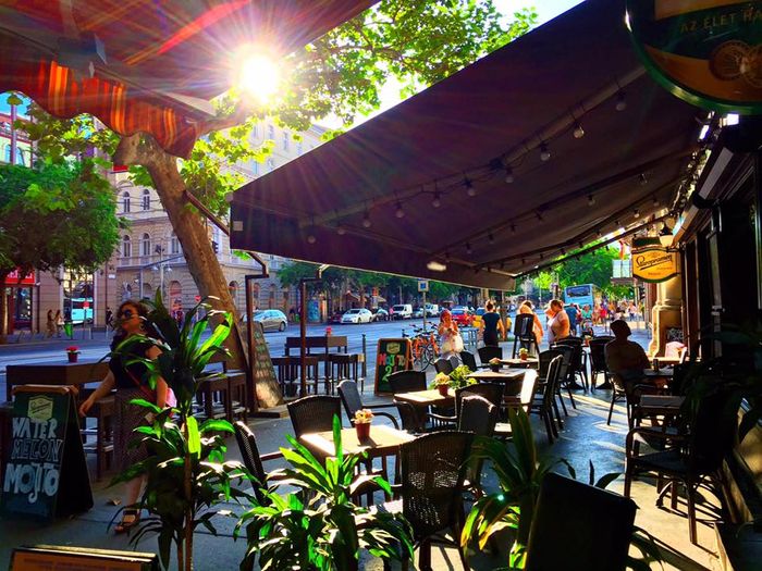 匈牙利打工度假：布達佩斯中式餐廳，好吃快炒，還有小籠包、酸辣湯。