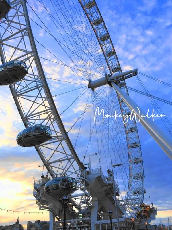 英國倫敦眼(London Eye)，知名地標，建議事先線上購買門票，不然要排隊非常久。