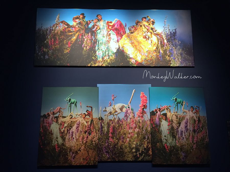 Tim Walker在奇美博物館展覽的攝影作品，畫板是鋼板，顯示出的色澤很令人著迷。
