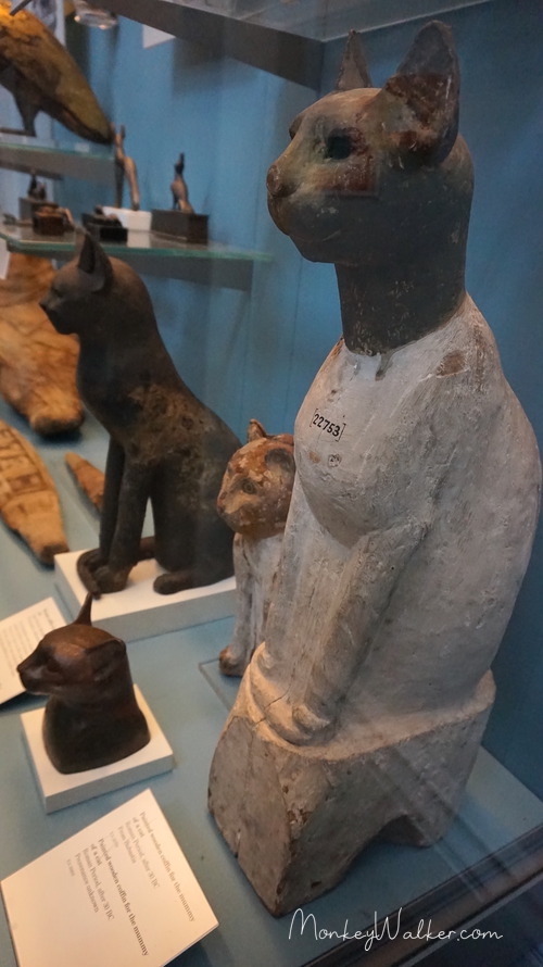 古埃及也有貓咪木乃伊。