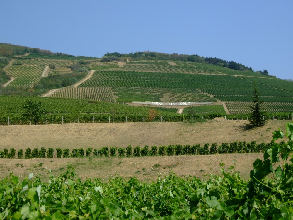 匈牙利世界遺產：托卡伊葡萄酒產區歷史文化景觀 Tokaj Wine Region Historic Cultural Landscape，貴腐酒故鄉，身為酒鬼的你一定要來喝。